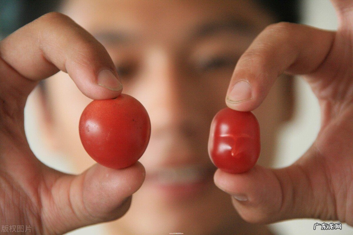 小县城适合买房还是买商铺？买哪个更划算？