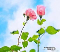 励志语录大全 人生感悟 【抖音文案】精辟人生感悟句子