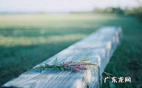 励志语录大全 人生感悟 【抖音文案】精辟人生感悟句子