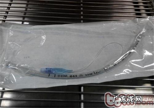 探讨小宠物呼吸麻醉