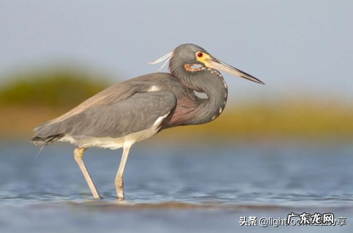光圈优先和快门优先有什么区别,该如何运用?
