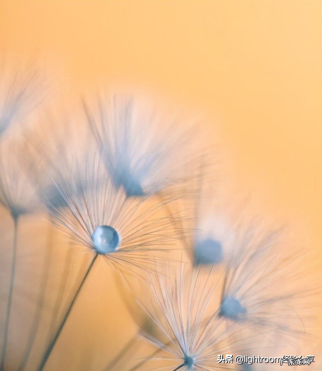 光圈优先和快门优先有什么区别,该如何运用?