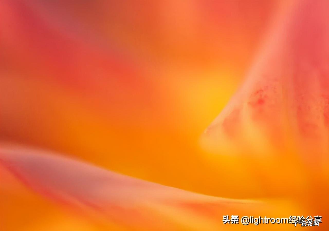 光圈优先和快门优先有什么区别,该如何运用?