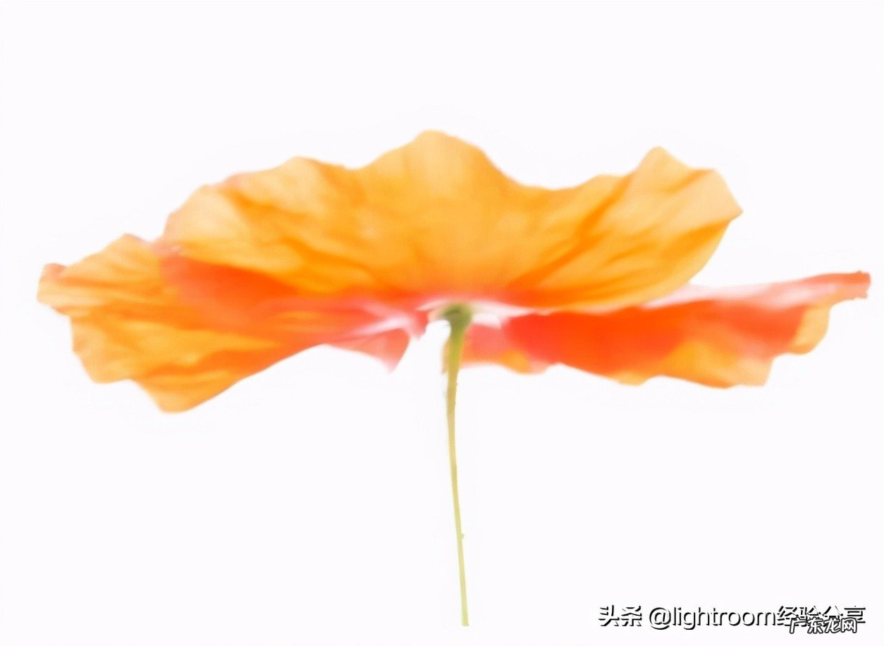 光圈优先和快门优先有什么区别,该如何运用?