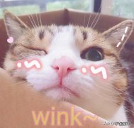 推荐iphone软件！这4款实用APP，千万不要错过！