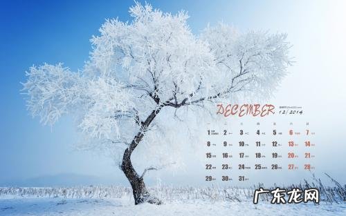 形容美景意境的句子 【抖音文案】形容冬天的句子意境