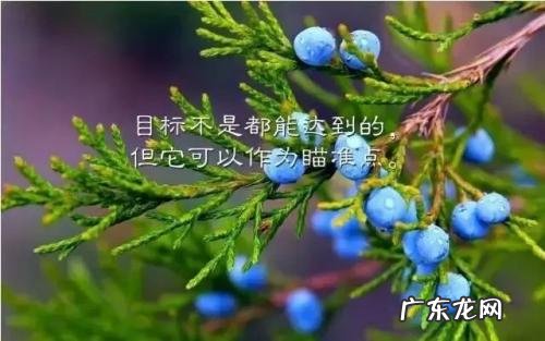 人生感悟励志语录经典句子 【抖音文案】经典励志人生感悟语录