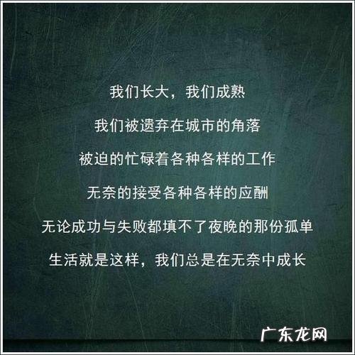 描写城市环境恶劣的句子 【抖音文案】赞美城市环境好的句子