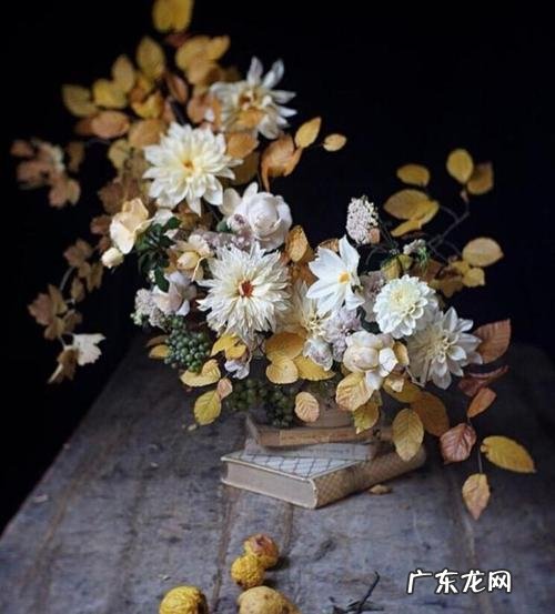 让冬天温暖的走心句子 【抖音文案】唯美走心温暖句子简短