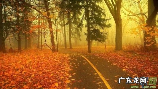 描写景色优美的句子摘抄简短 【抖音文案】描写景色优美的句子