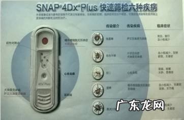 一例蜱虫叮咬的病例分析