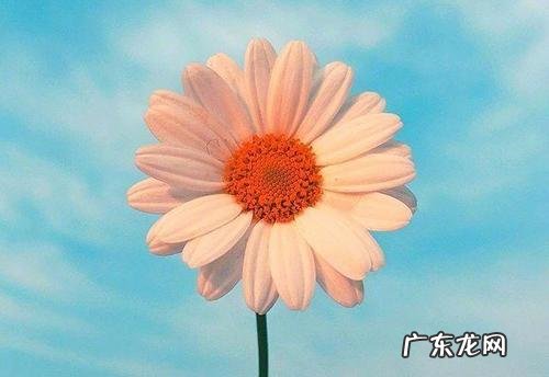 阳光励志的句子,充满正能量,开启元气满满的一天 【抖音文案】阳光励志的句子