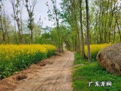 乡村气息浓郁的句子 【抖音文案】感受乡村气息句子