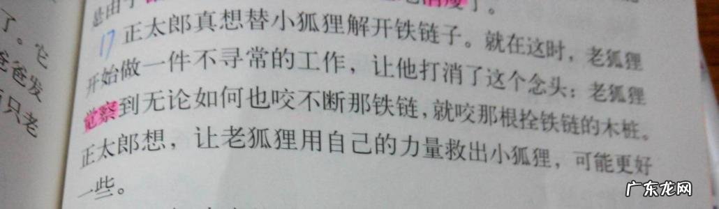 关于感动的句子开头排比 【抖音文案】关于感动的句子开头