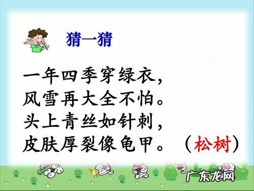 描写一年四季的四字词语和句子 【抖音文案】一年级描写一年四季的句子
