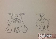 哪一个狗的腕关节更强？&#8212;犬腕关节发育不全