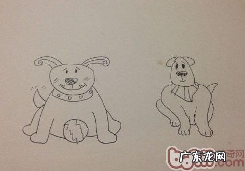 哪一个狗的腕关节更强?—犬腕关节发育不全