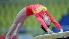 为什么中国体操动作被禁？是什么原因？
