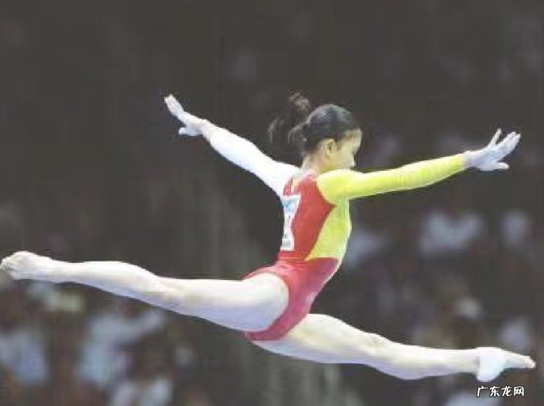 为什么中国体操动作被禁?是什么原因?