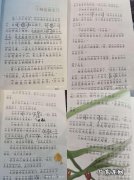 窗边的小豆豆优美词句摘抄 【抖音文案】优美词句摘抄积累