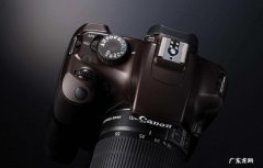 低端单反有必要买吗？五个优点，其实它们并没有那么不堪！