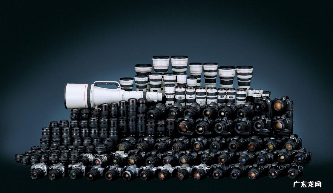 低端单反有必要买吗？五个优点，其实它们并没有那么不堪！