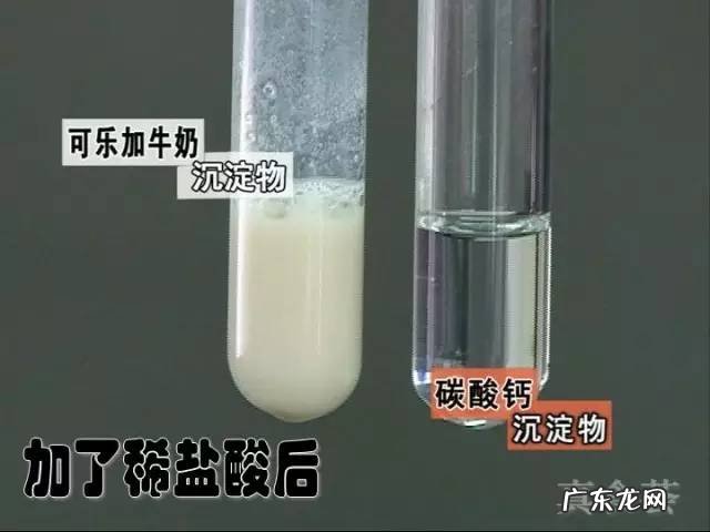 牛奶与可乐会发生什么反应 可乐加牛奶喝了怎么办