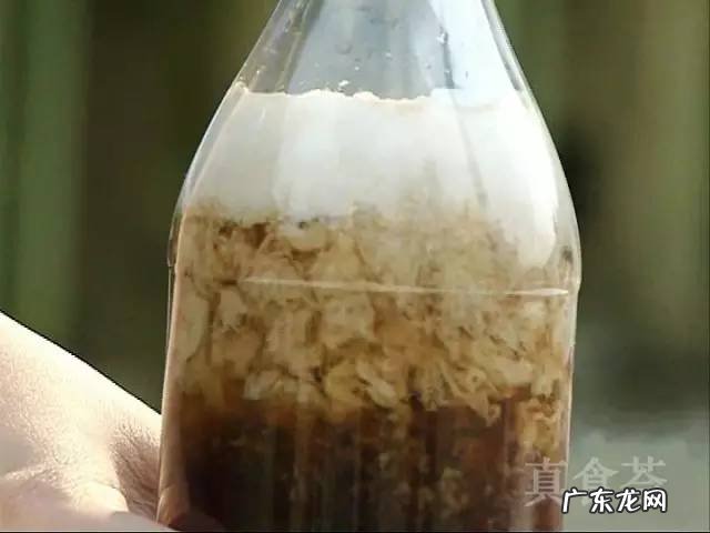 牛奶与可乐会发生什么反应 可乐加牛奶喝了怎么办