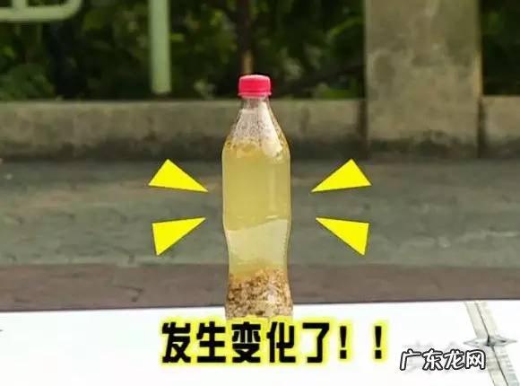 牛奶与可乐会发生什么反应 可乐加牛奶喝了怎么办