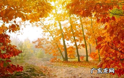 形容秋天的景色的句子简短 【抖音文案】形容秋天的景色的句子