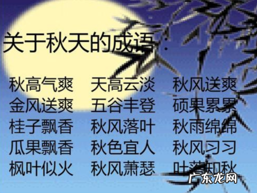 描写秋天的银杏叶的优美句子 【抖音文案】描写秋天银杏叶的四字词语