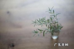 感叹时间过得很快的短句子 【抖音文案】感叹时间过得很快的短句