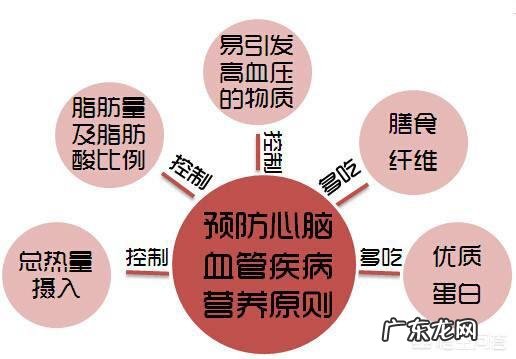 日常哪些方法可以帮助养护血管，预防心脑血管疾病？