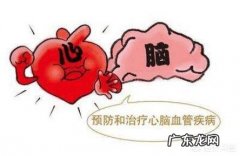 日常哪些方法可以帮助养护血管，预防心脑血管疾病？