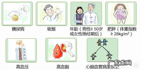 日常哪些方法可以帮助养护血管，预防心脑血管疾病？
