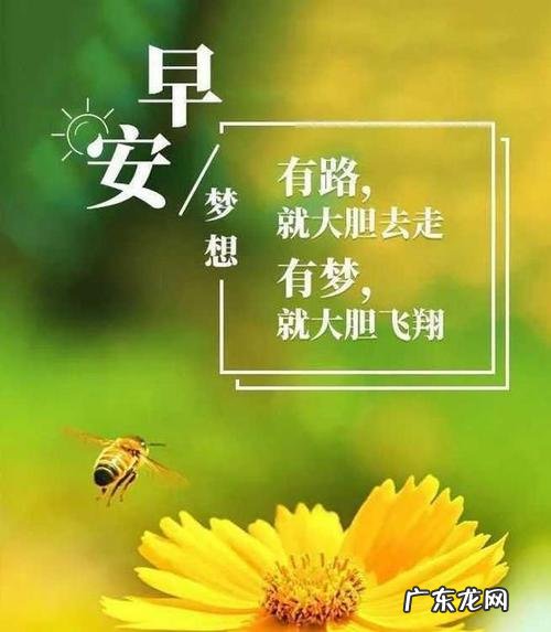 跳舞使人心情愉悦的短句 【抖音文案】心情愉悦轻松的短句