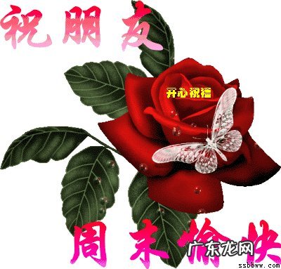 发动态的搞笑短句句子 【抖音文案】发动态好心情的句子短句