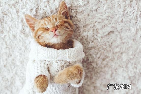 盘点10款利润大且好卖产品 贸易公司卖什么产品好