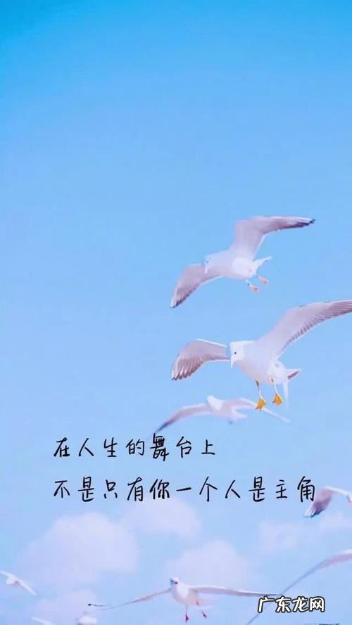 关于心情的句子 表达自己心情的句子 【抖音文案】关于心情的句子短句子