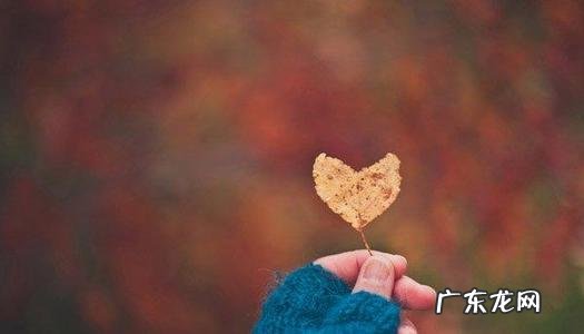 好朋友旅游唯美句子 【抖音文案】好朋友感情好的唯美句子