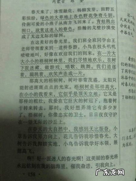 【抖音文案】描写夏天的好词好句都有哪些