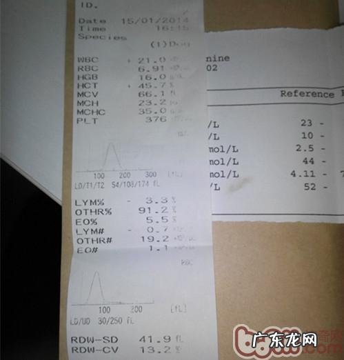 一例犬胃扭转的医治