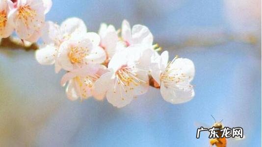 一天美好的心情的句子 【抖音文案】美好的心情的句子