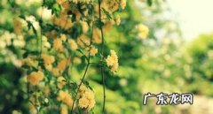 描写春夏秋冬的优美句子20字 【抖音文案】秋冬的优美句子