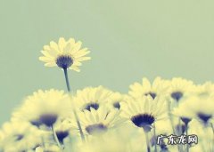 朋友圈句子说说好心情短语 【抖音文案】好心情的句子短语简单