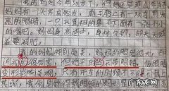 形容眼睛哭得很肿的比喻句 【抖音文案】形容眼睛肿的比喻句