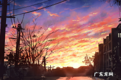 淘宝店铺没销量怎么运营才好？有哪些技巧？