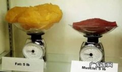 体脂率计算公式 如何测体脂率