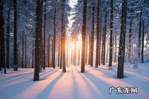 三月下雪的唯美句子 【抖音文案】关于下雪的唯美句子