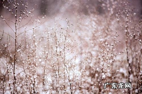 三月下雪的唯美句子 【抖音文案】关于下雪的唯美句子